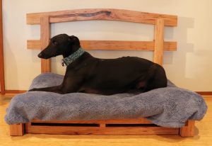 Greyhound bed